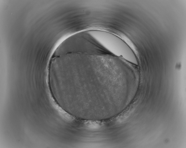 X0000090760955200708101744