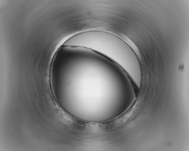 X0000090760956200708101744