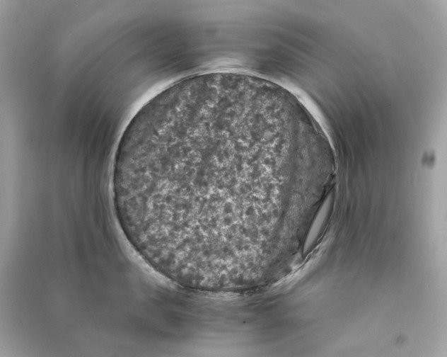 X0000090760957200708101744