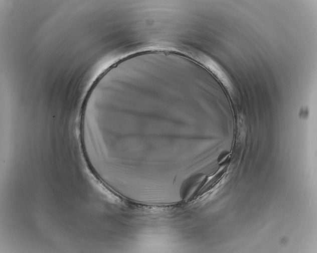 X0000090760958200708101744