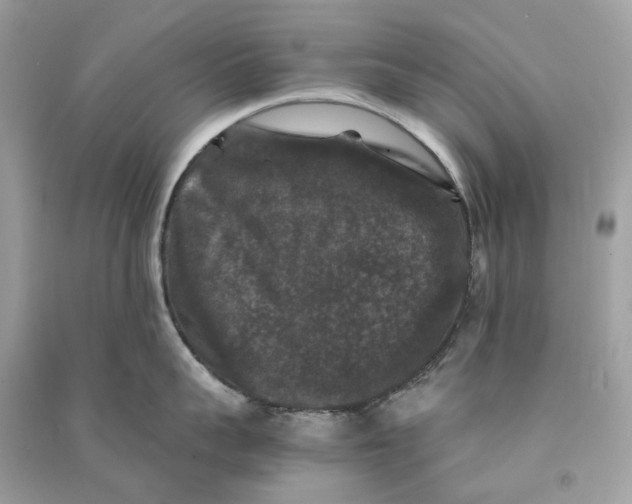 X0000090760959200708101744