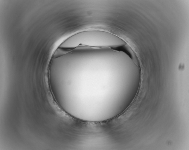 X0000090760960200708101744