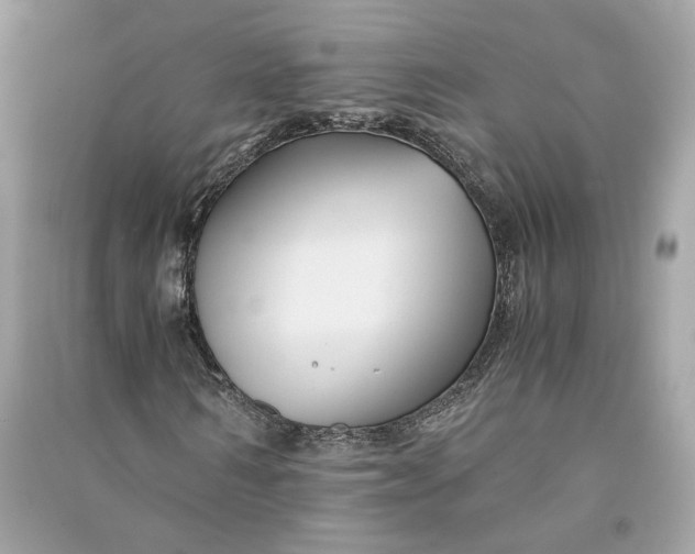 X0000090760962200708101744