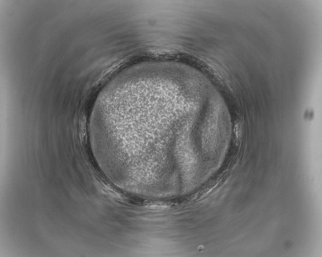 X0000090760963200708101744