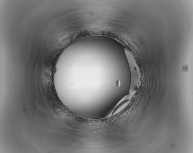 X0000090760964200708101744