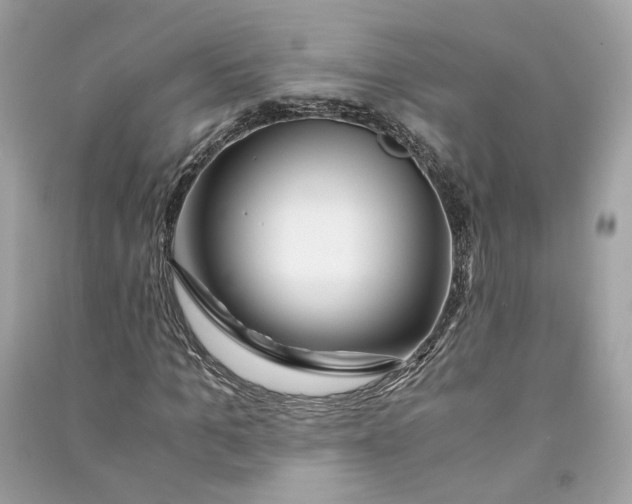 X0000090760965200708101744