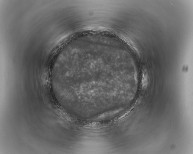 X0000090760966200708101744