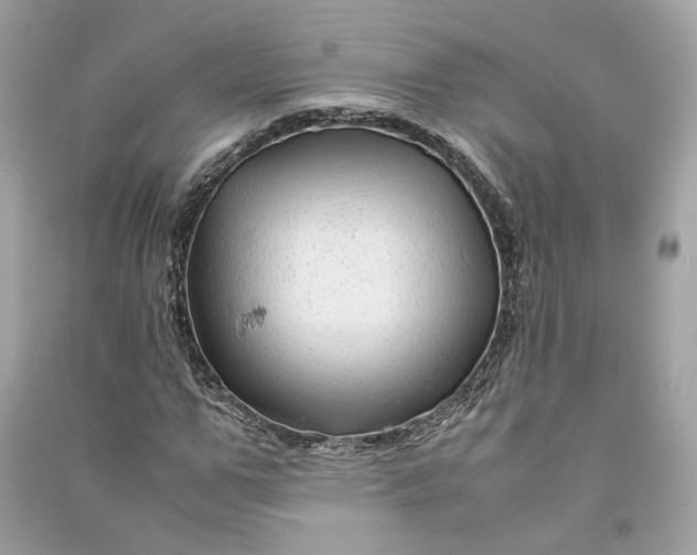 X0000090760967200708101743