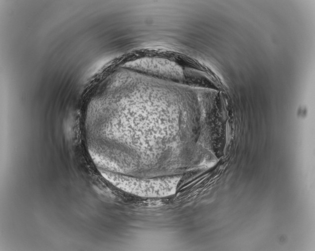 X0000090760968200708101743