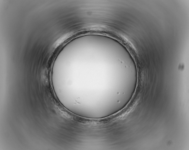 X0000090760970200708101743