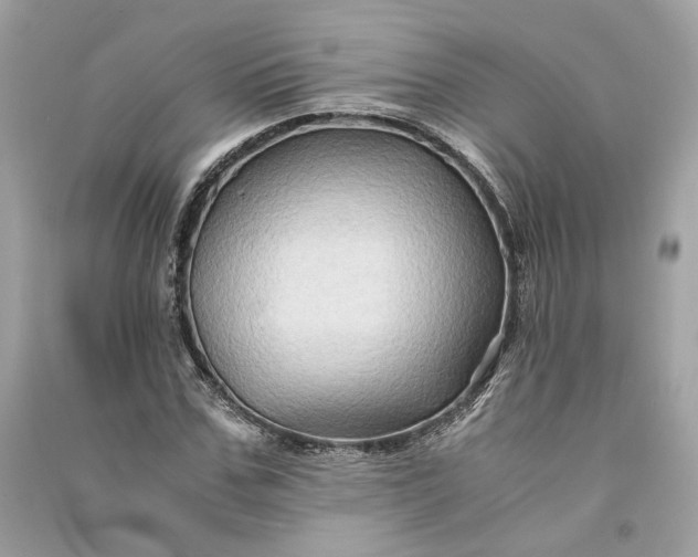 X0000090760971200708101743