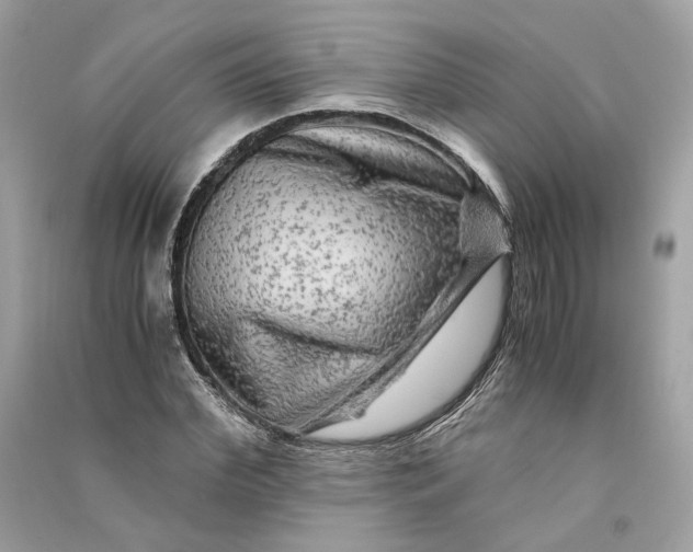 X0000090760972200708101743