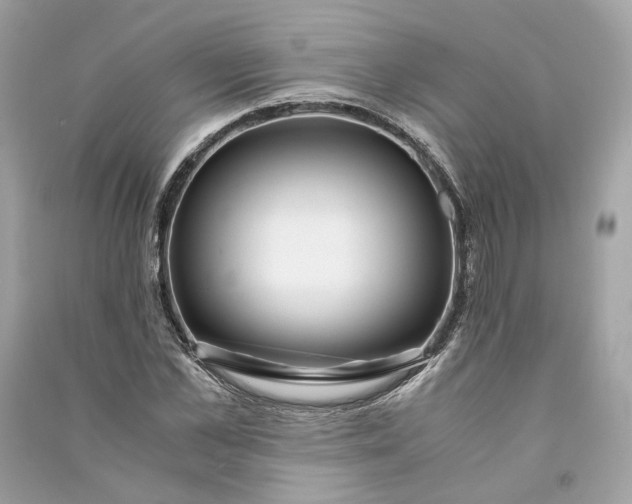 X0000090760973200708101743