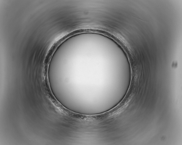 X0000090760974200708101743