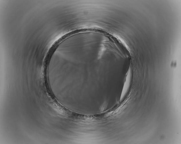 X0000090760975200708101743