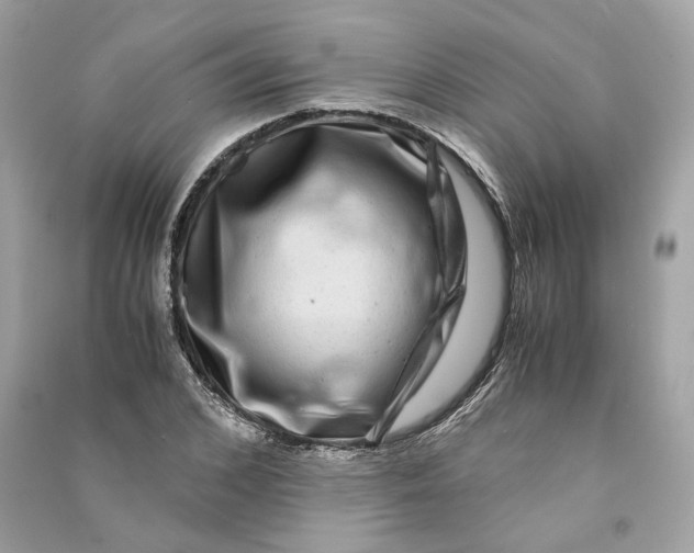 X0000090760976200708101743