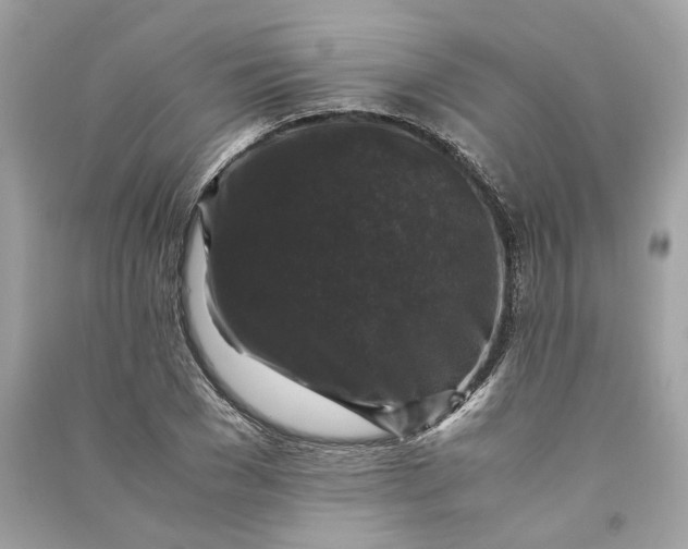 X0000090760977200708101743