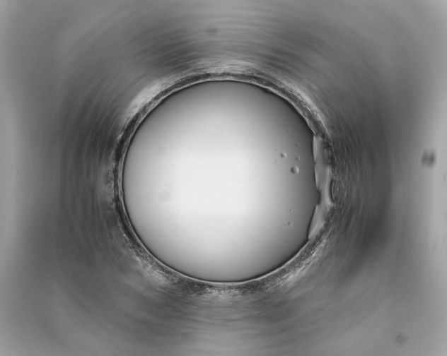 X0000090760978200708101743