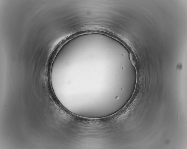 X0000090760979200708101743