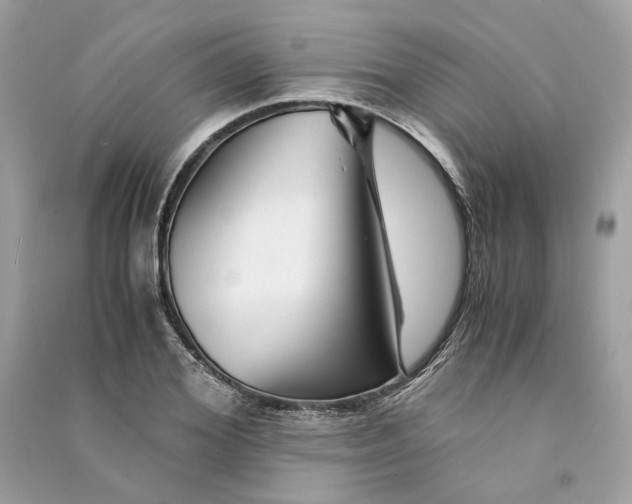 X0000090760980200708101743