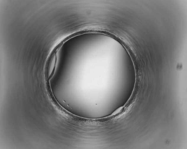 X0000090760981200708101743