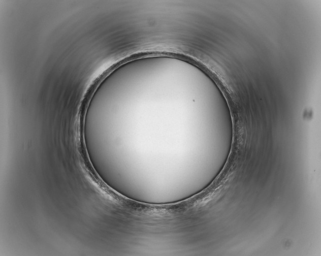 X0000090760982200708101743