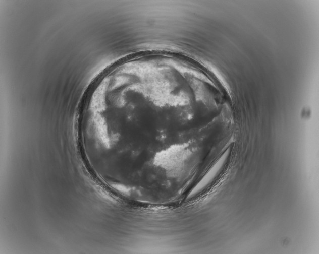 X0000090760983200708101743