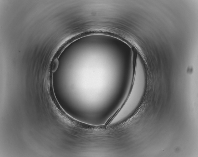 X0000090760984200708101743