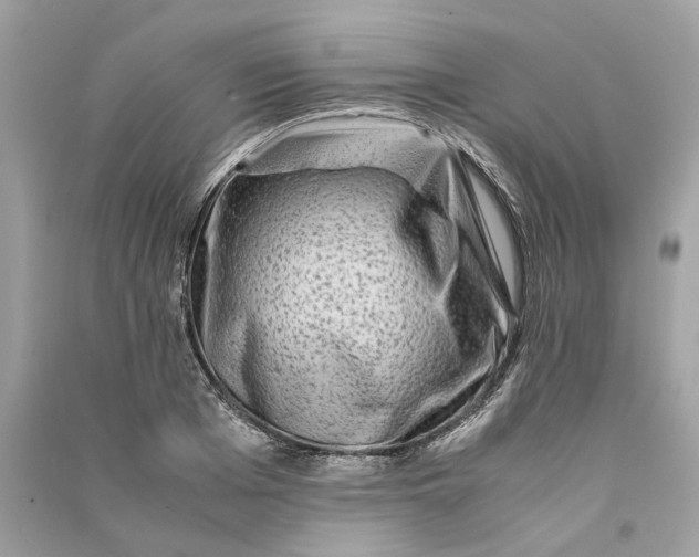 X0000090760985200708101743