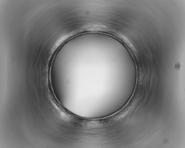 X0000090760986200708101743