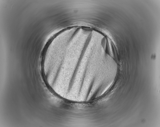 X0000090760987200708101743