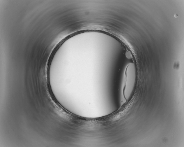 X0000090760988200708101743