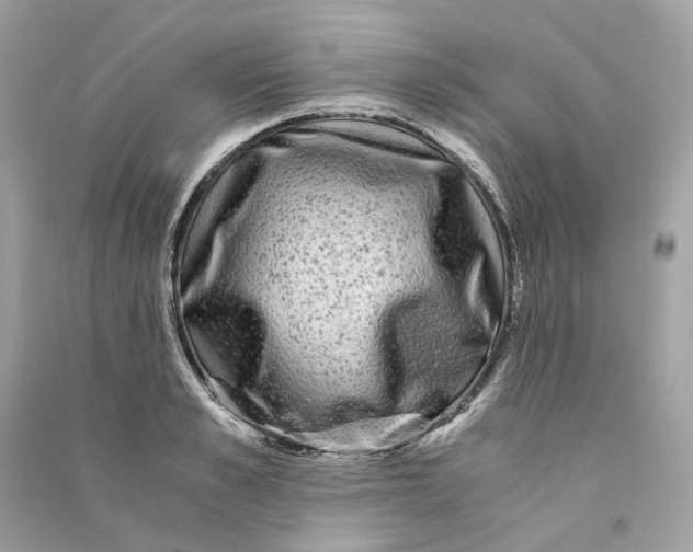 X0000090760989200708101743