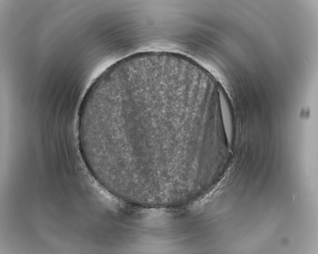 X0000090760990200708101743