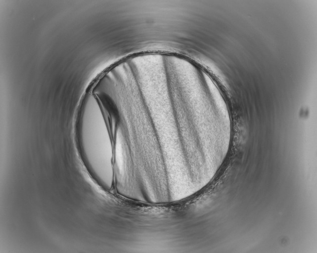 X0000090760991200708101743