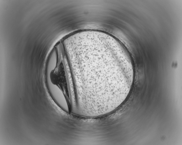 X0000090760992200708101743