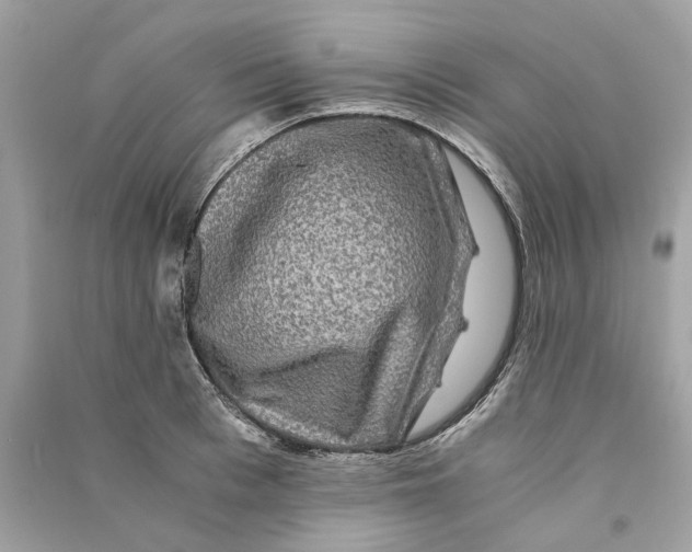 X0000090760993200708101743