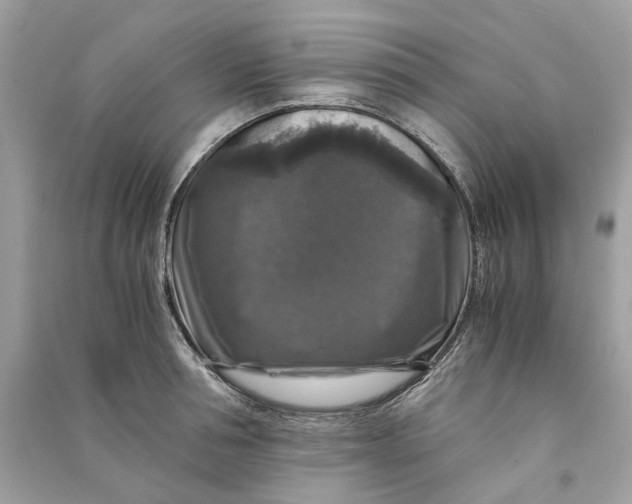 X0000090760994200708101743