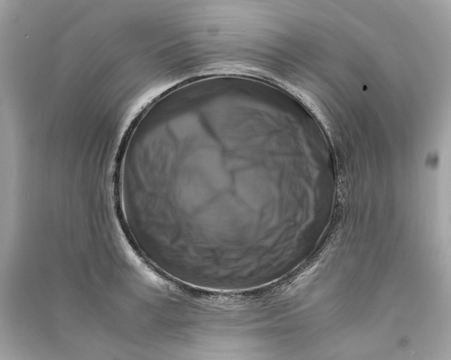 X0000090760995200708101743