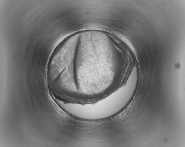 X0000090760996200708101743