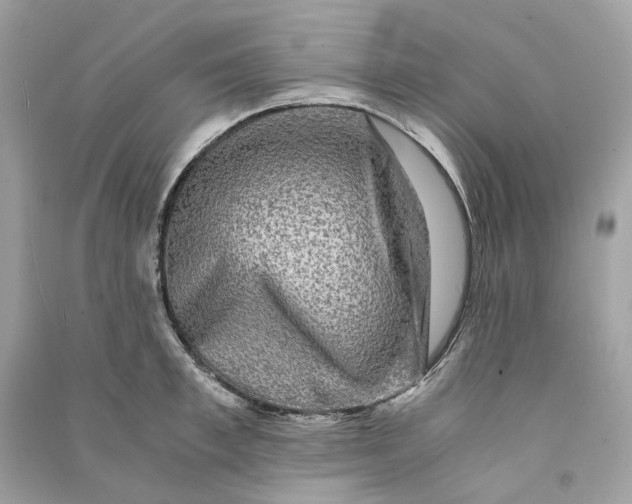 X0000090760997200708101743