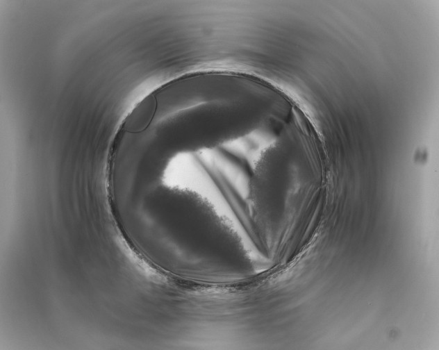 X0000090760998200708101743