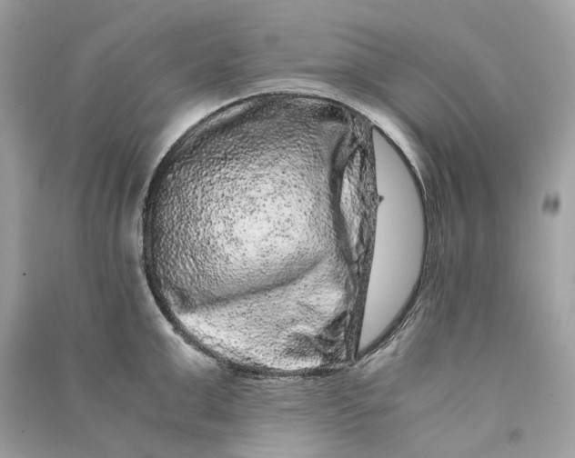 X0000090760999200708101743