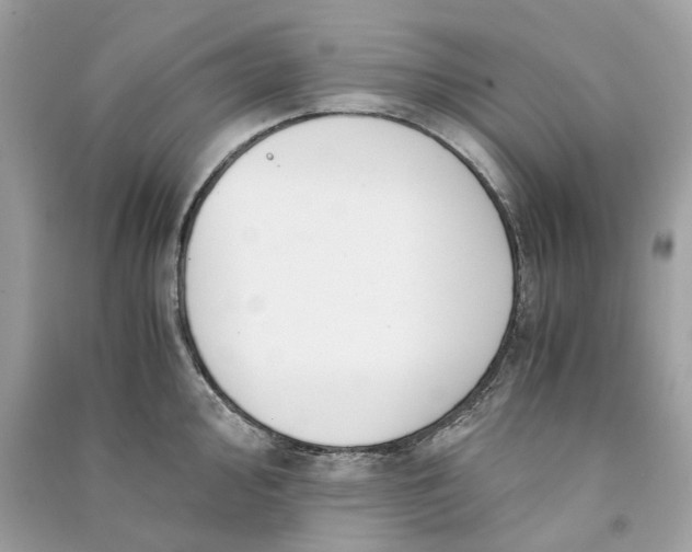 X0000090761000200708101743