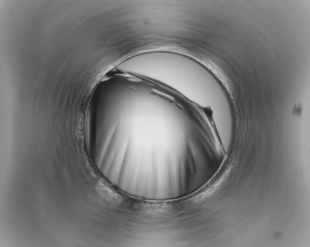 X0000090761001200708101743