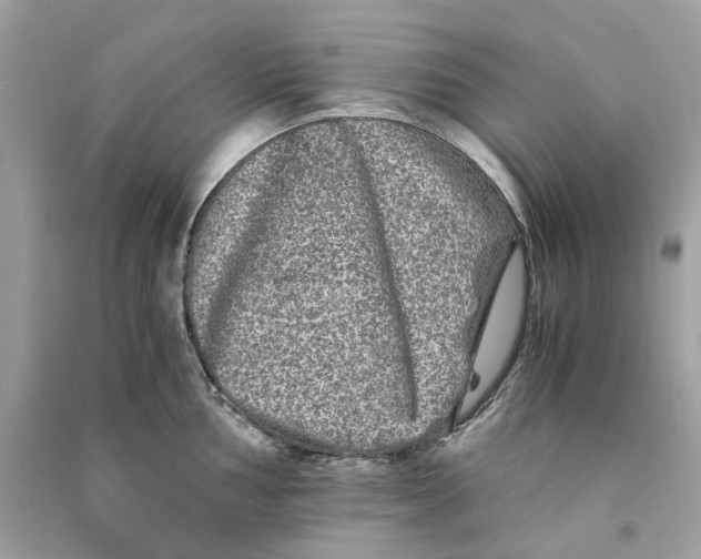 X0000090761002200708101743