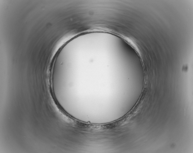 X0000090761003200708101743