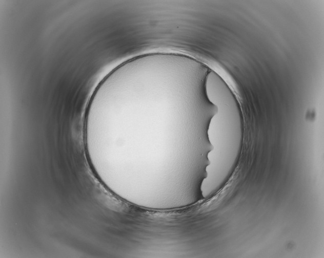 X0000090761004200708101743