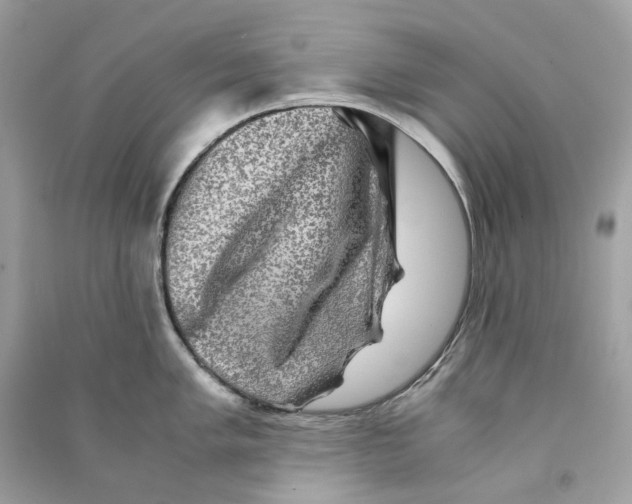 X0000090761005200708101743