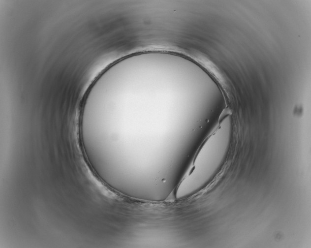 X0000090761006200708101743